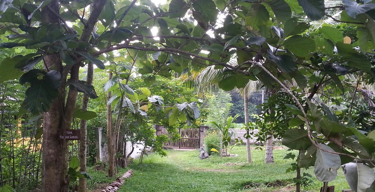 Villa Cinnamon Hills Galle Extérieur photo